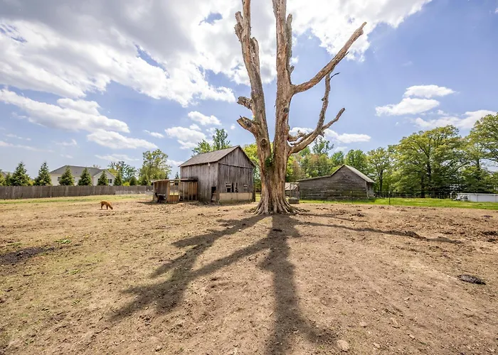 Hobbit House, One-Of-A-Kind Home
